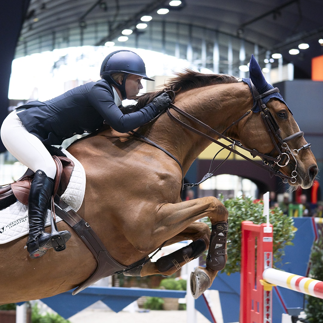 Le Saut Hermès CSI 5* - Saut Hermès 2024