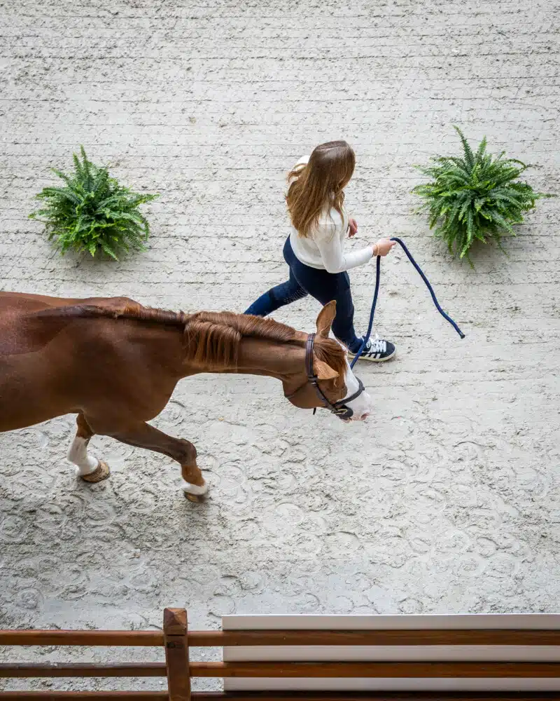 Saut Hermès 2025 Madeleine Bergsjo @ Hermès 2025