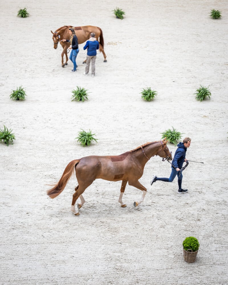 Saut Hermès 2025 Madeleine Bergsjo @ Hermès 2025