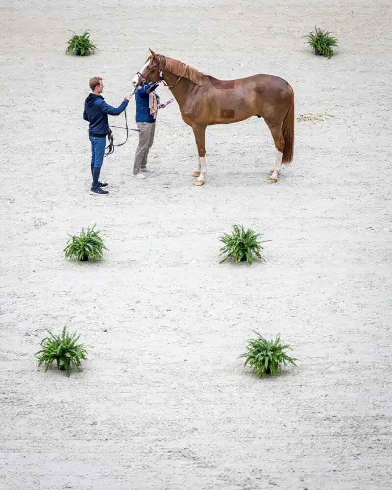 Saut Hermès 2025 Madeleine Bergsjo @ Hermès 2025