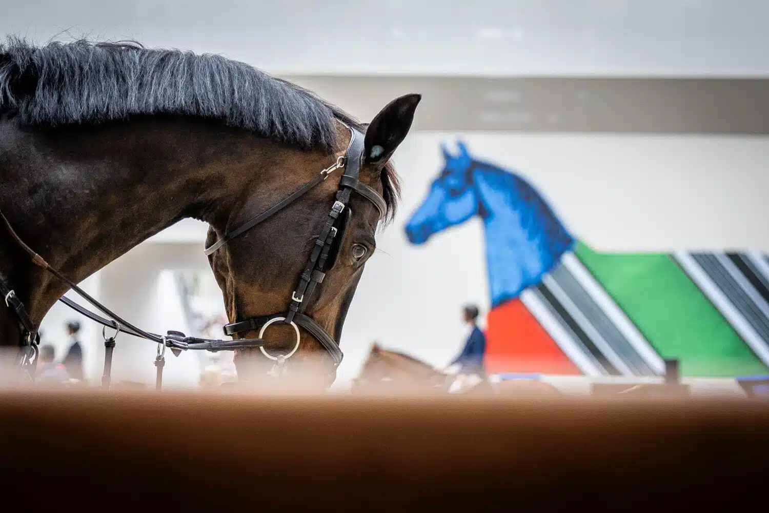 Saut Hermès 2025 Madeleine Bergsjo @ Hermès 2025