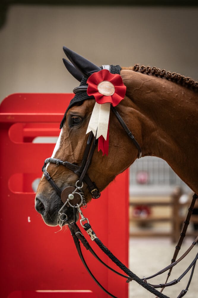 Saut Hermès 2025 Madeleine Bergsjo @ Hermès 2025