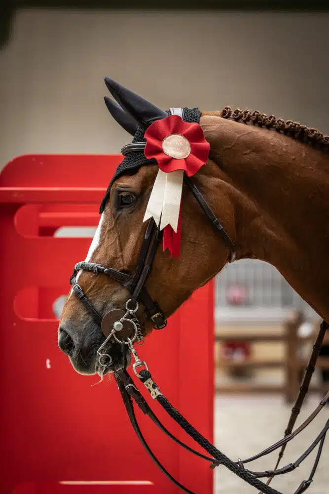 Saut Hermès 2025 Madeleine Bergsjo @ Hermès 2025