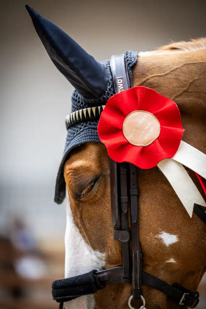 Saut Hermès 2025 Madeleine Bergsjo @ Hermès 2025