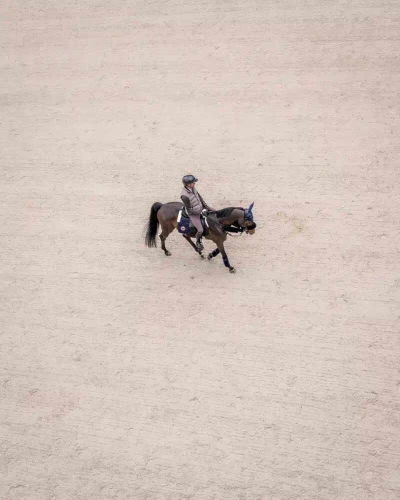 Simon DELESTRE - Saut Hermès 2025 Madeleine Bergsjo @ Hermès 2025