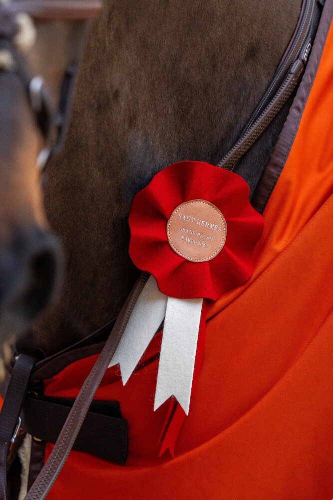 Saut Hermès 2026 Madeleine Bergsjo @ Hermès 2026