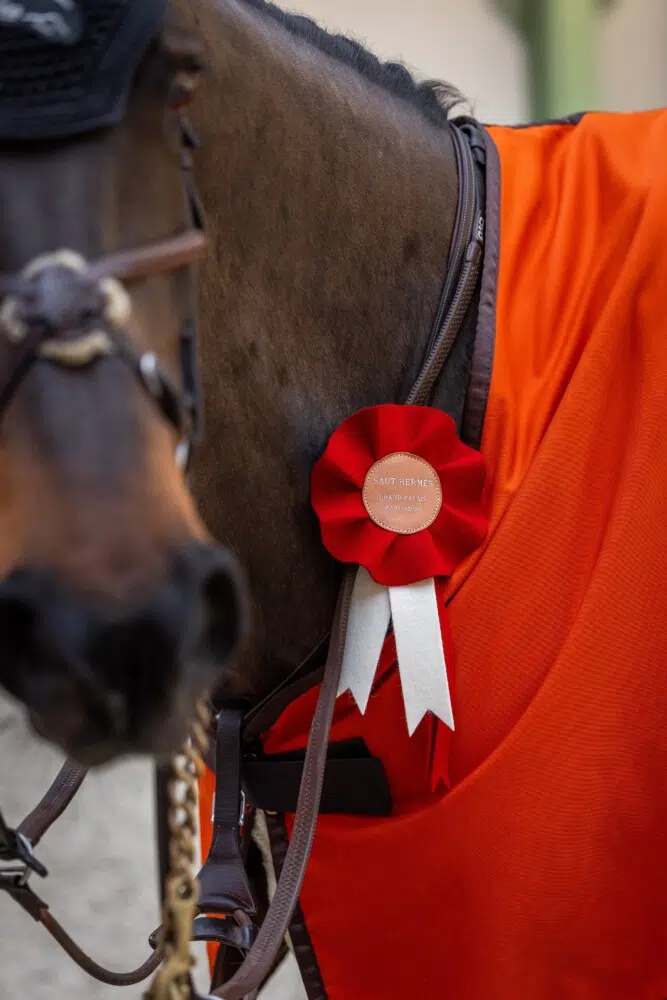 N°1 - Willem GREVE - CANDY LUCK Z - Prix du Grand Palais CSI 5* Madeleine Bergsjo @ Hermès 2026