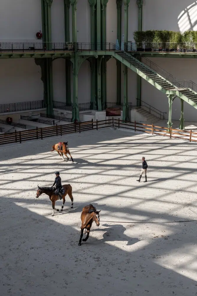 Saut Hermès 2026 Madeleine Bergsjo @ Hermès 2026