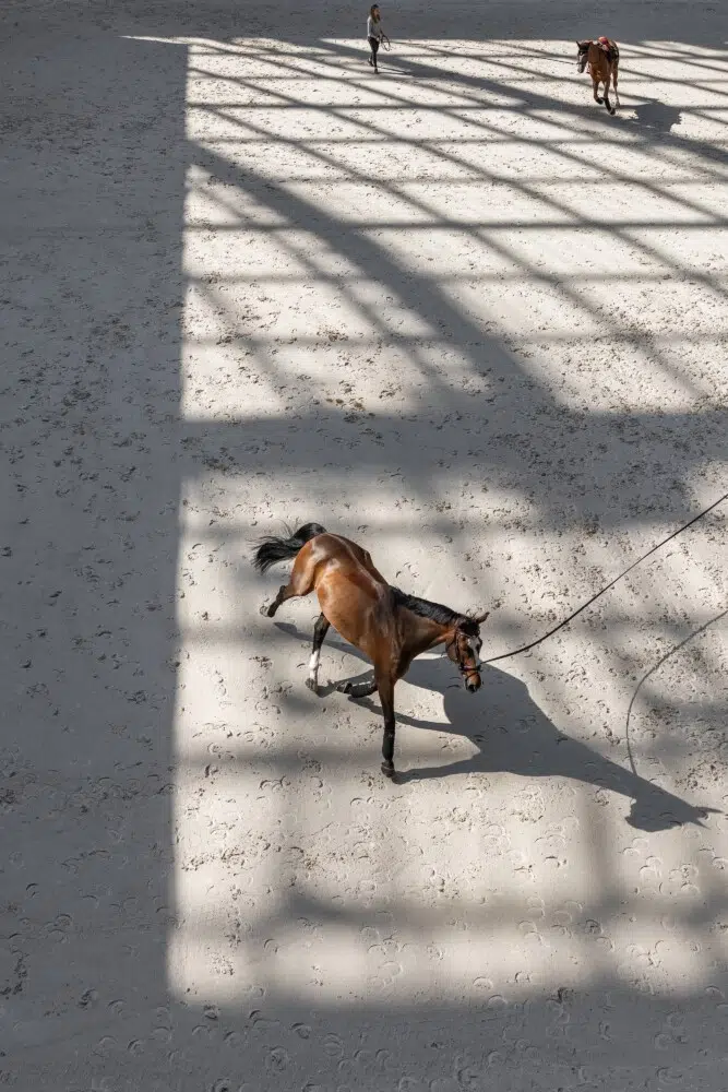 Saut Hermès 2026 Madeleine Bergsjo @ Hermès 2026