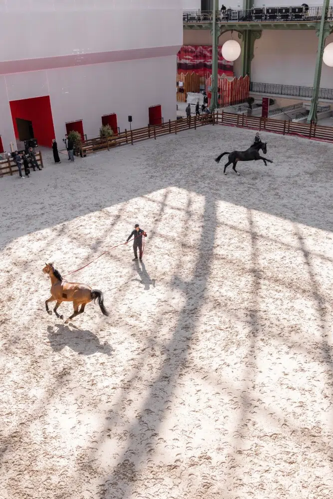 Saut Hermès 2026 Madeleine Bergsjo @ Hermès 2026