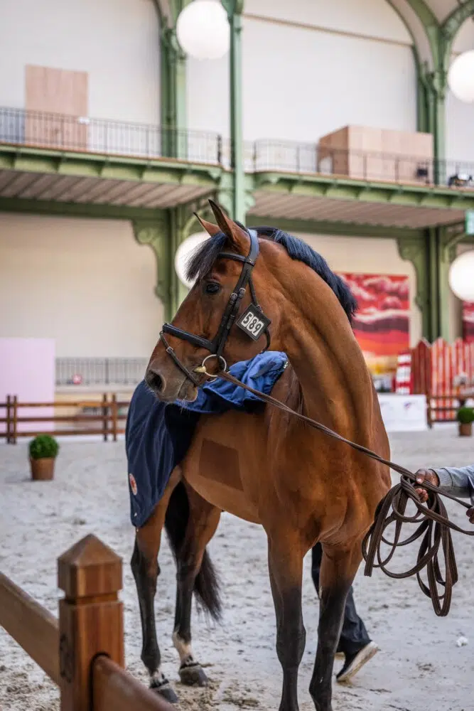 Saut Hermès 2026 Madeleine Bergsjo @ Hermès 2026