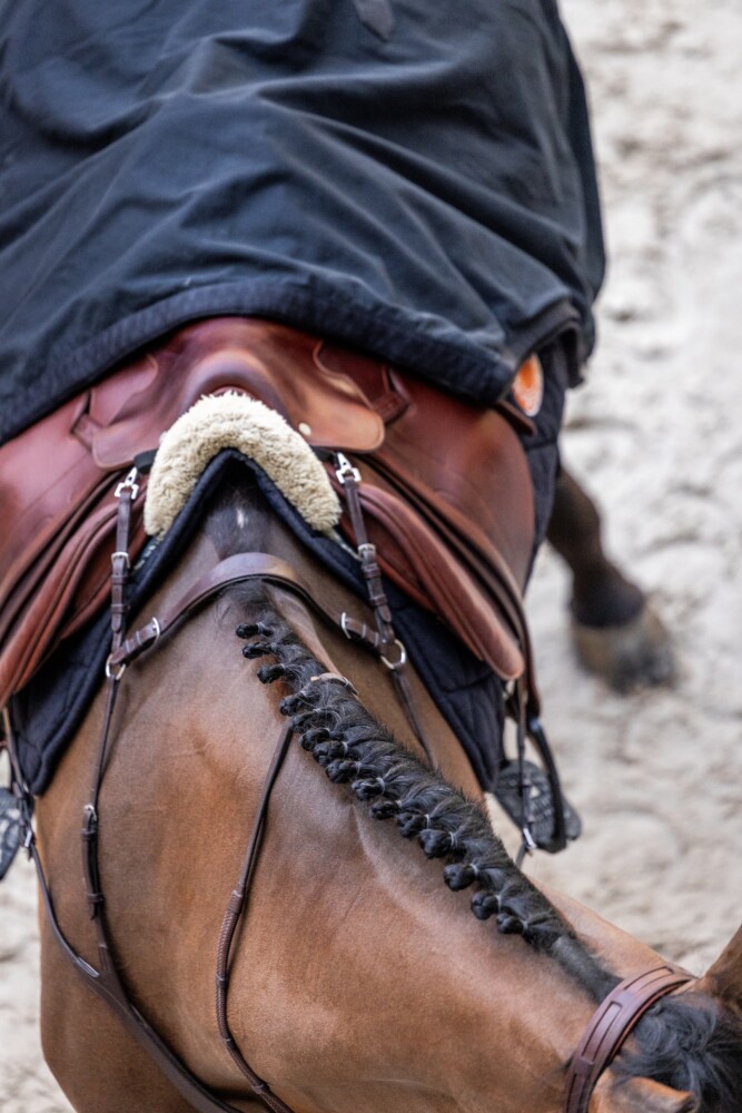 Saut Hermès 2026 Madeleine Bergsjo @ Hermès 2026