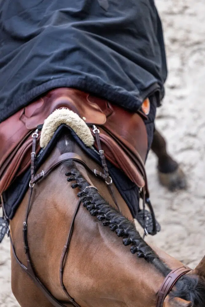 Saut Hermès 2026 Madeleine Bergsjo @ Hermès 2026