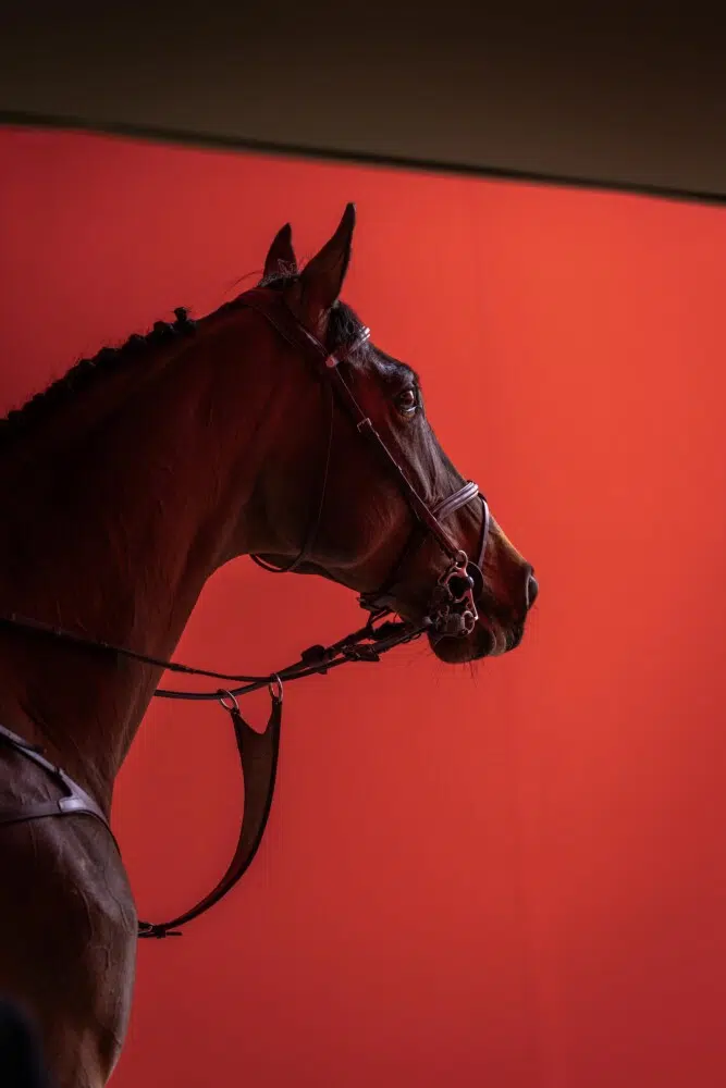 Saut Hermès 2026 Madeleine Bergsjo @ Hermès 2026