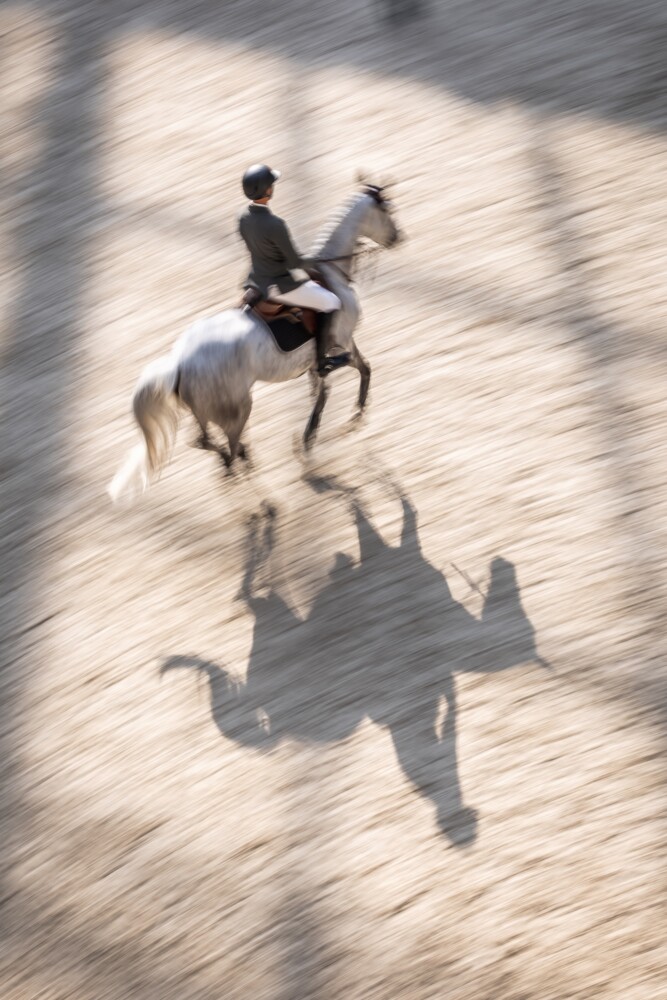 Saut Hermès 2026 Madeleine Bergsjo @ Hermès 2026