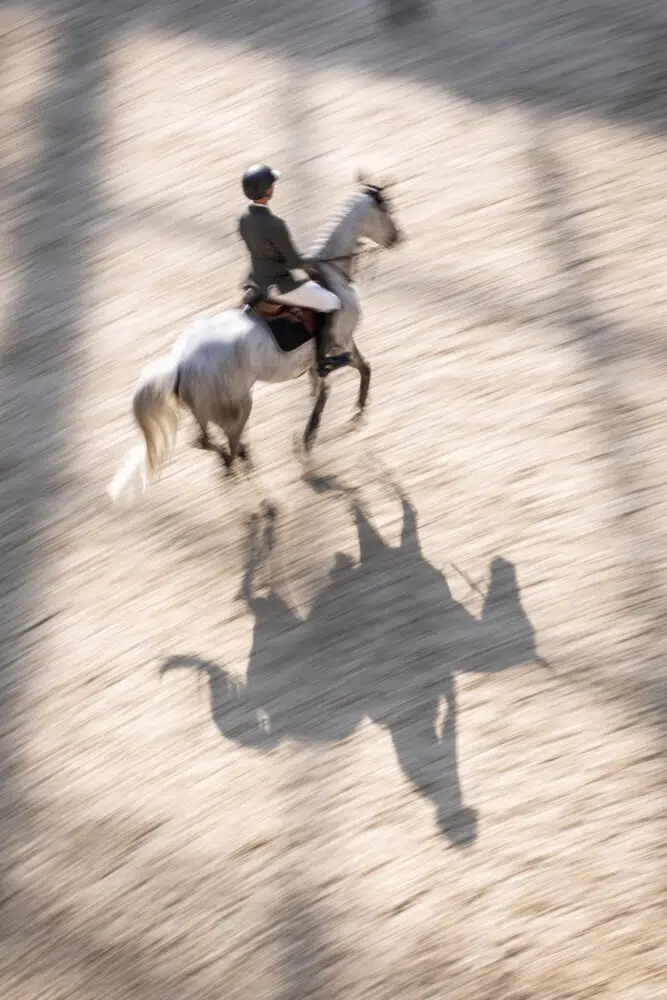 Saut Hermès 2026 Madeleine Bergsjo @ Hermès 2026