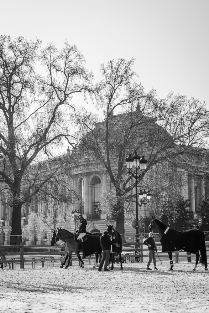 Saut Hermès 2026 Madeleine Bergsjo @ Hermès 2026