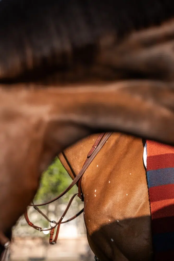 Saut Hermès 2026 Madeleine Bergsjo @ Hermès 2026