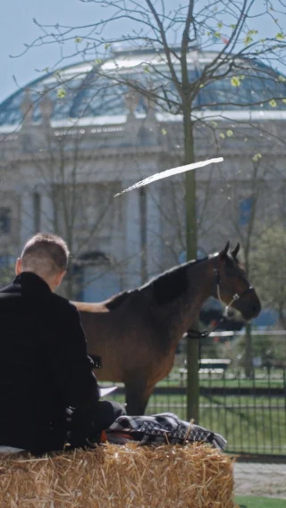Welcome to the Saut Hermès 2025 website!