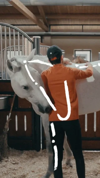 乗馬】Hermes パーカー L 乗馬用トップス 起毛 オリンピック パリ 乗馬】Hermes パーカー L 乗馬用トップス 起毛 オリンピック パリ
